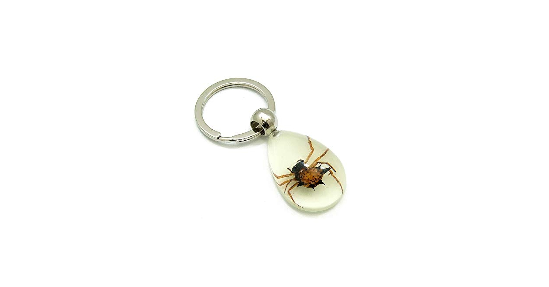 Amazon.co.jp: 【Re・Best】 1ヶ入 ミニミニInsect Keyring